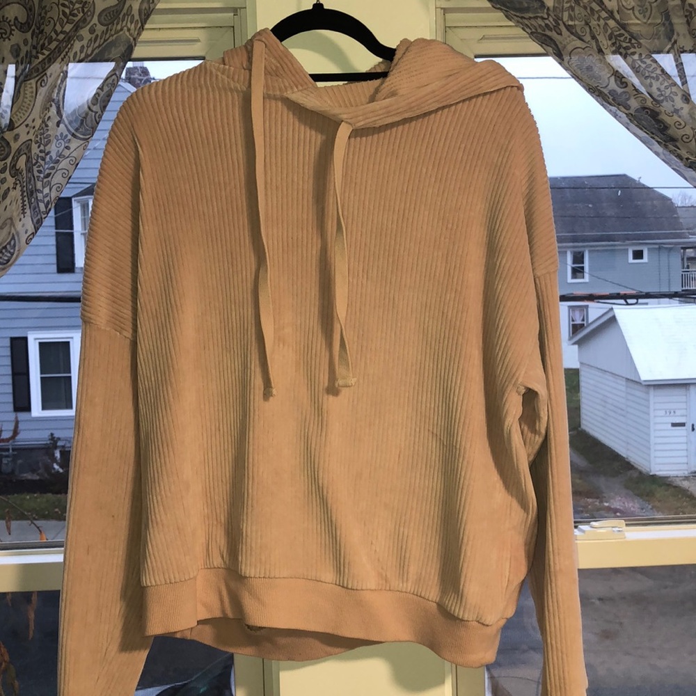 light pink velvet hoodie sweatshirt